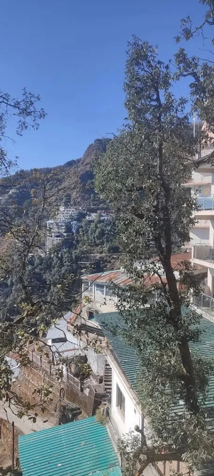 The OAK Leaf Mussoorie photo 2